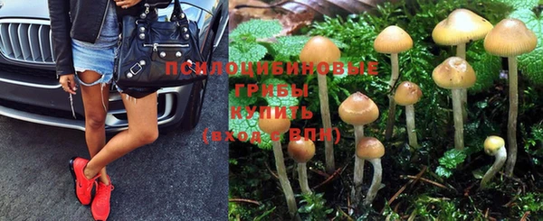 a pvp Богородск